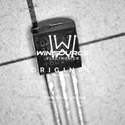 DS18B20+ Real Image1