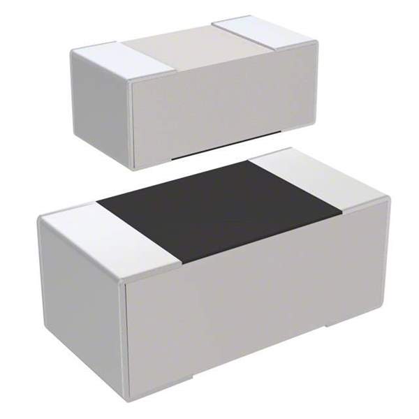RC1005F153CS Real Image