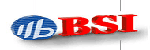 Immagine per la categoria Brilliance Semiconductor