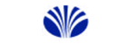 Immagine per la categoria Daewoo Semiconductor