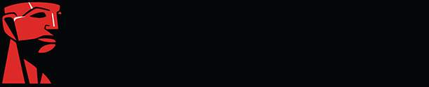 Immagine per la categoria Kingston