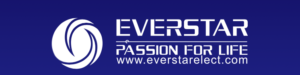Immagine per la categoria Shanghai Everstar Electronics Co., Ltd.